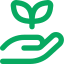 hand-holding-seeding